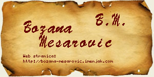 Božana Mesarović vizit kartica